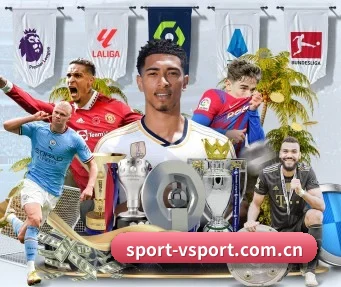v体育网站 APP